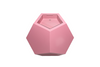 The Dodecahedron in Light Pink